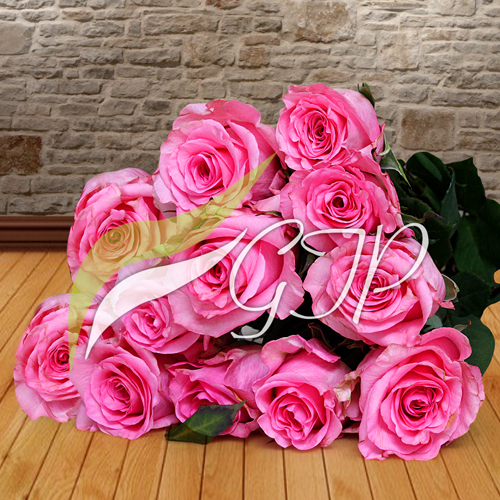 A bouquet of 10 imported pink roses wrapped in white paper and tied with a pink ribbon